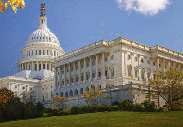 Progetto senza titolo (46)